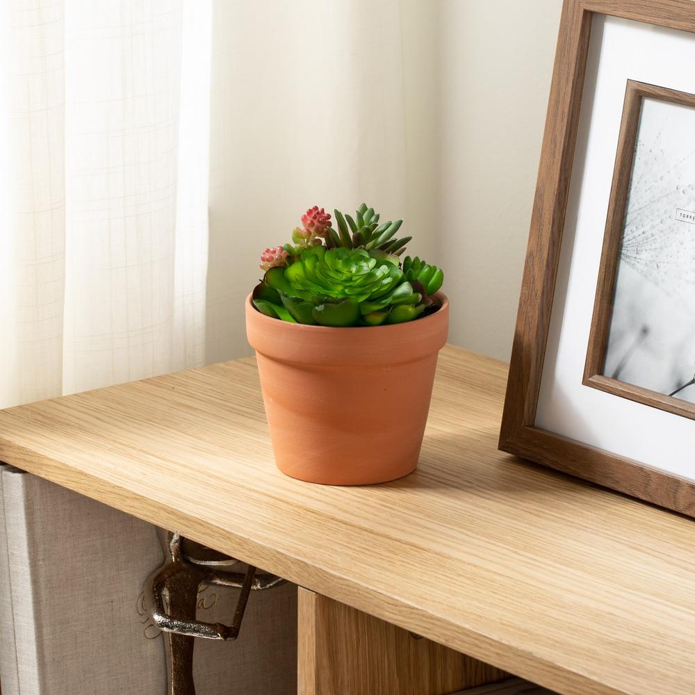 Faux Plants