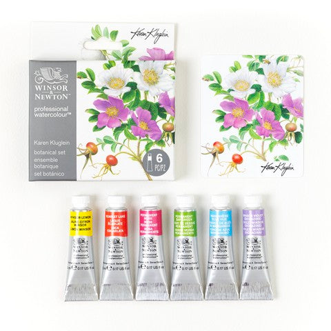 WN 6pc Watercolor Winsor Set