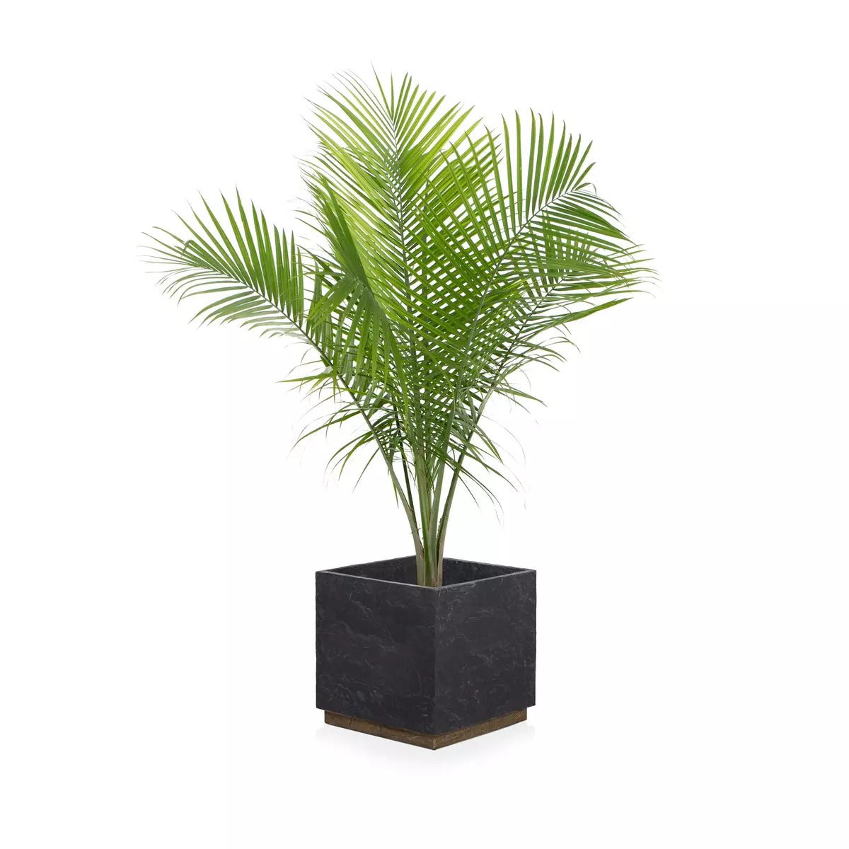Ely Planter - Dark Slate