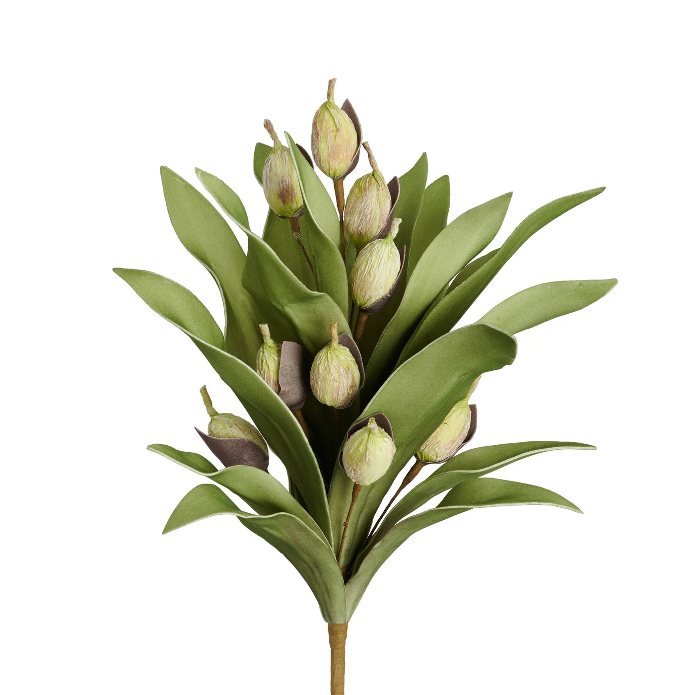 succulent bud burst spray 39" Succulent Pod Bouquet