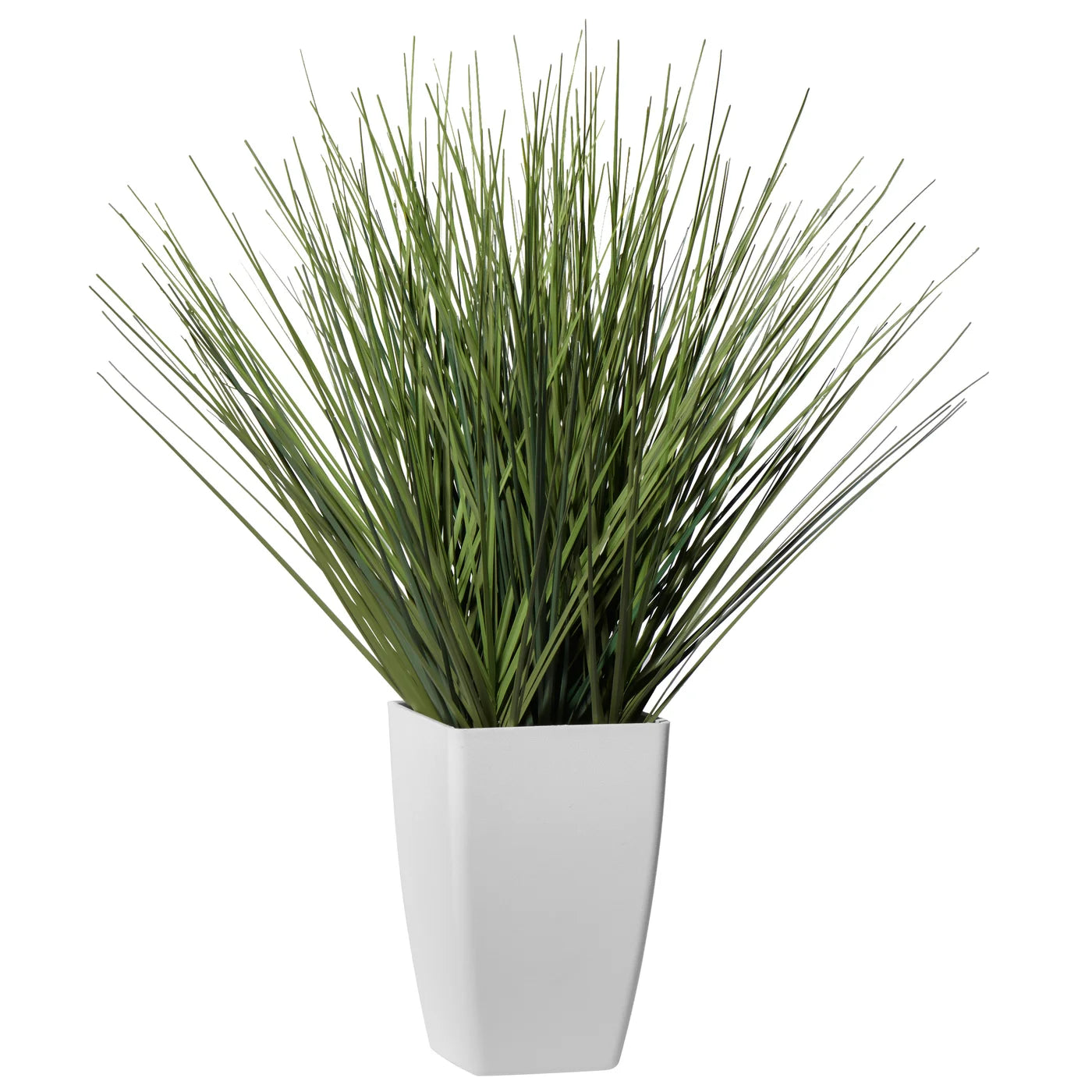 17" Potted Onion Grass Sq Pot