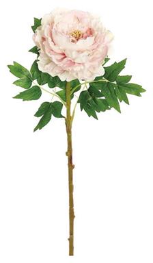 26.5" Queen Peony Bloom - Pink