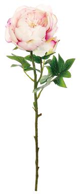 24" Peony w/ Bud - Pink