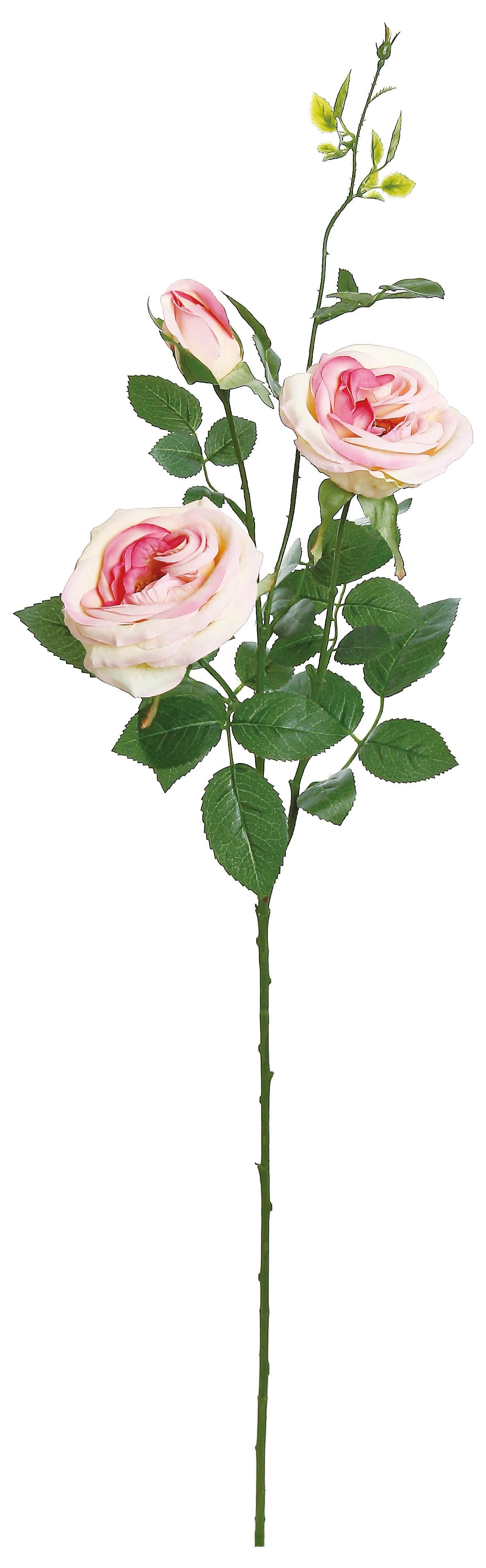 28" Pasadena Rose Spray - Pink