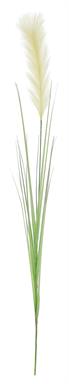 41" Pampas Grass Spray - Cream