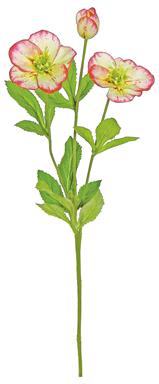 19" Hellebore Spray - Green