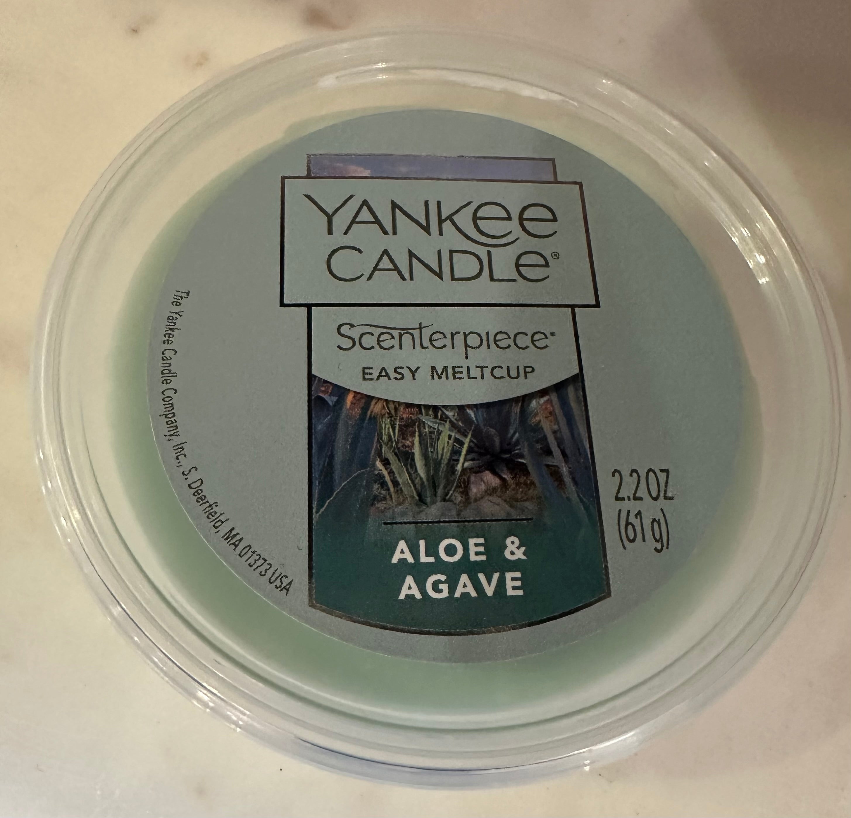 Aloe & Agave Melt Cup
