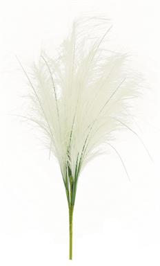 23" Pampas Grass Bush - Cream