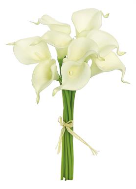 Mini Calla Lily Bundle x9 - Cr