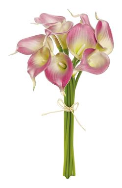 Mini Calla Lily Bundle x9 - M
