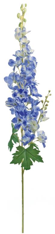 Delphinium, 36"