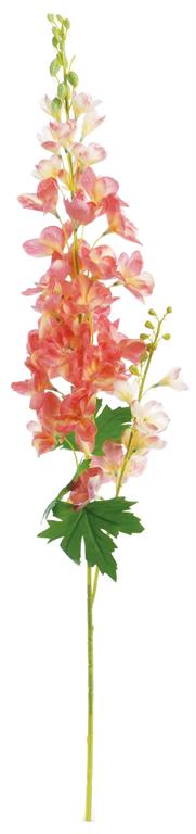 Delphinium, 36"