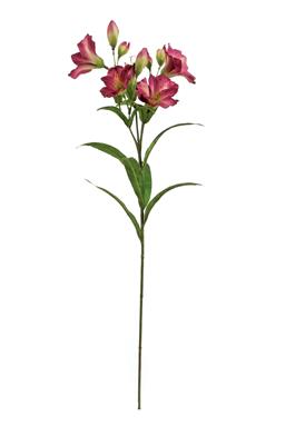 24" Alstroemeria x10 - Magenta