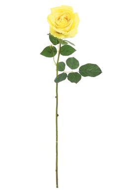 32" Large Tea Rosebud - Yellow