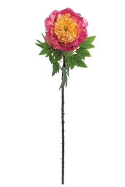 34" Japanese Peony - Magenta