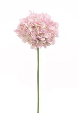 21" Garden Hydrangea WOL -Pink