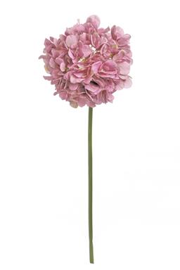 21" Garden Hydrangea WOL -Rose