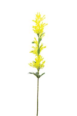36" Scarlet Fire Spike -Yellow