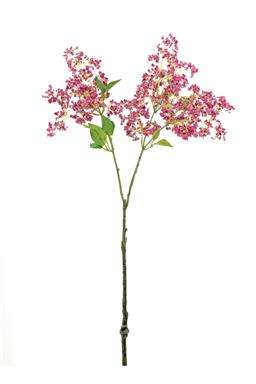 34" Sticky Laurel Spray