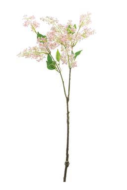 34" Sticky Laurel - Pink