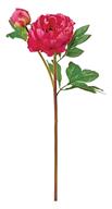 24" Peony Soft Touch - Fuchsia