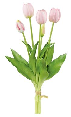 18" Mixed Tulip Bundle - P/G