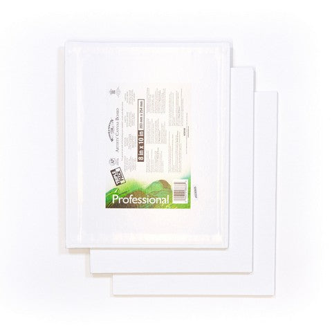 3pk W&N Canvas Boards, 8x10