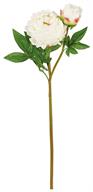 26" Peony/Bud/x1 - White