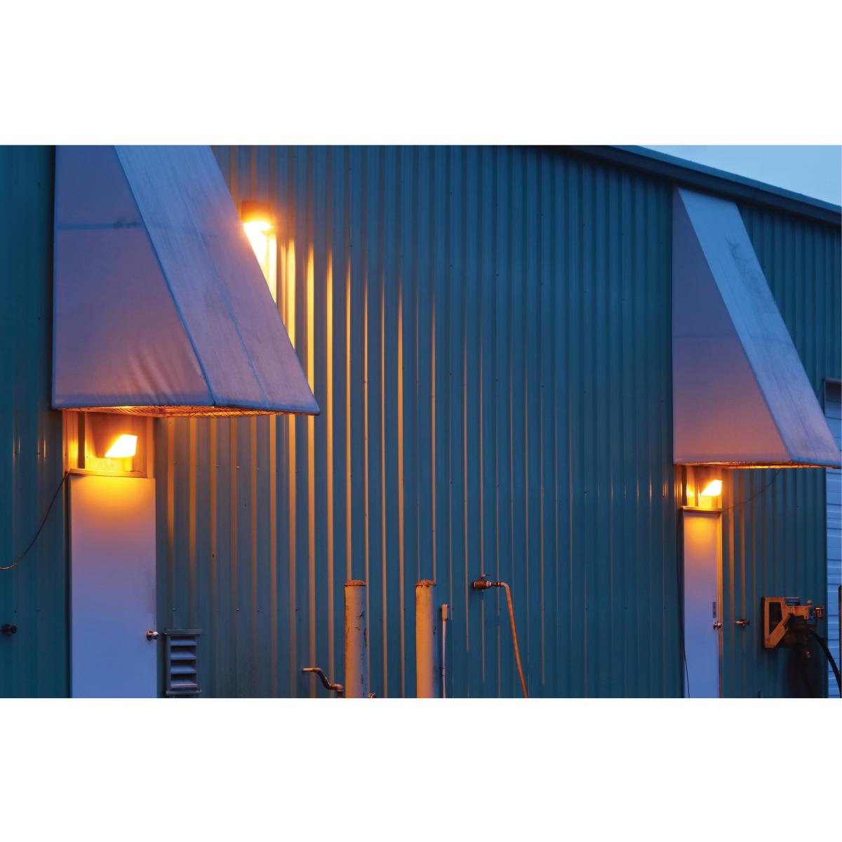 29W LED Wall Pack - CCT