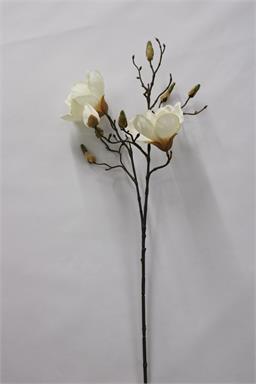 34" Magnolia Spray x2 - Ivory
