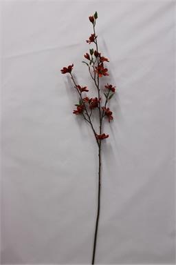 38" Magnolia Spray x3 - Orange