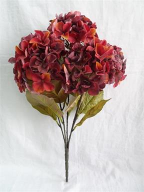 22" Harvest Hydrangea Bush - R