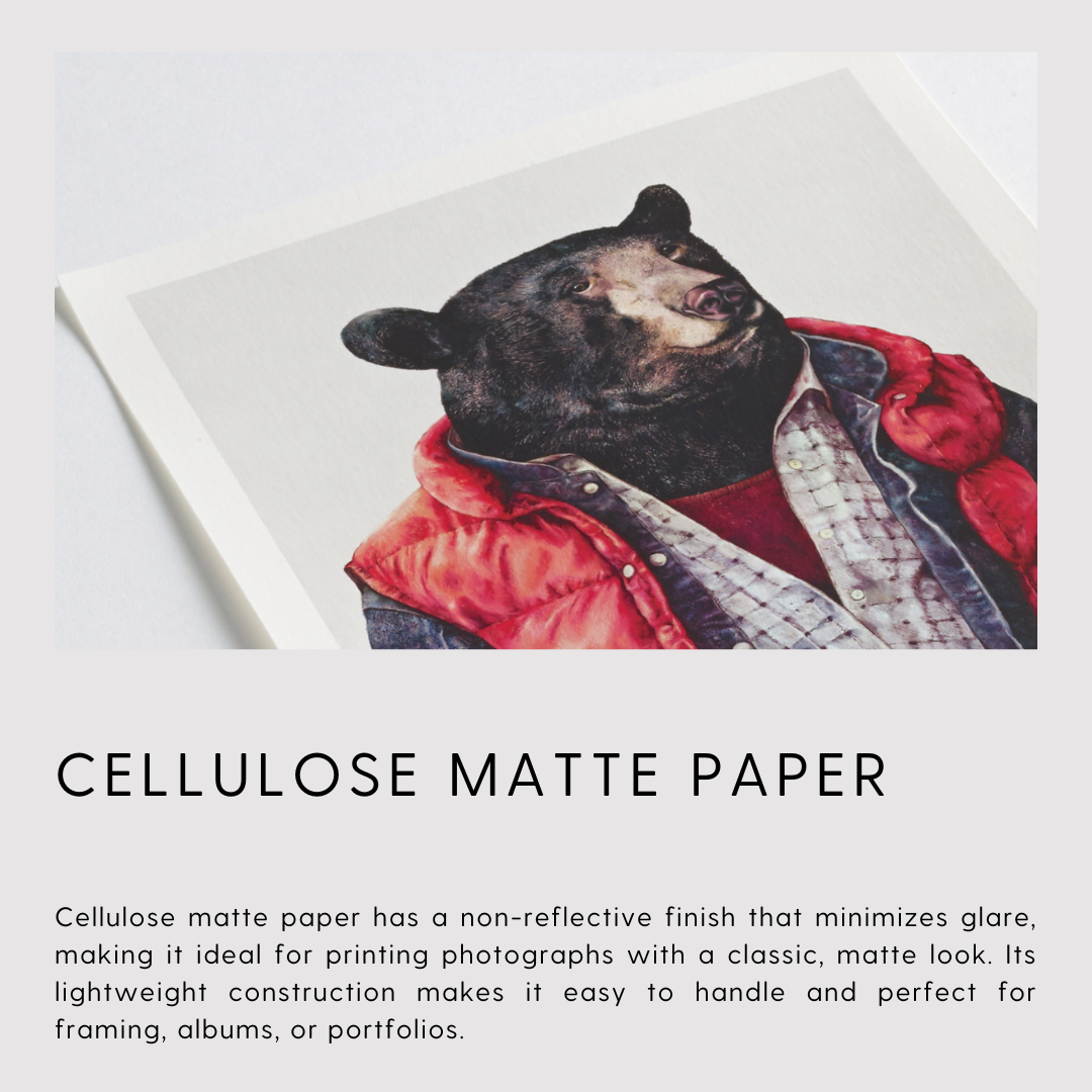 Cellulose Matte Paper Print