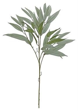 31" Needle Leaf Eucalyptus
