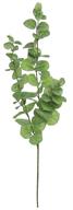 40" Grand Eucalyptus - Sage