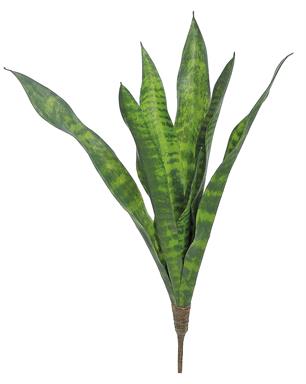 24" Sansevieria Plant - Green