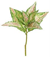 16" Natural Evergreen - G/Pink