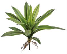 19.5" Green Yucca Plant
