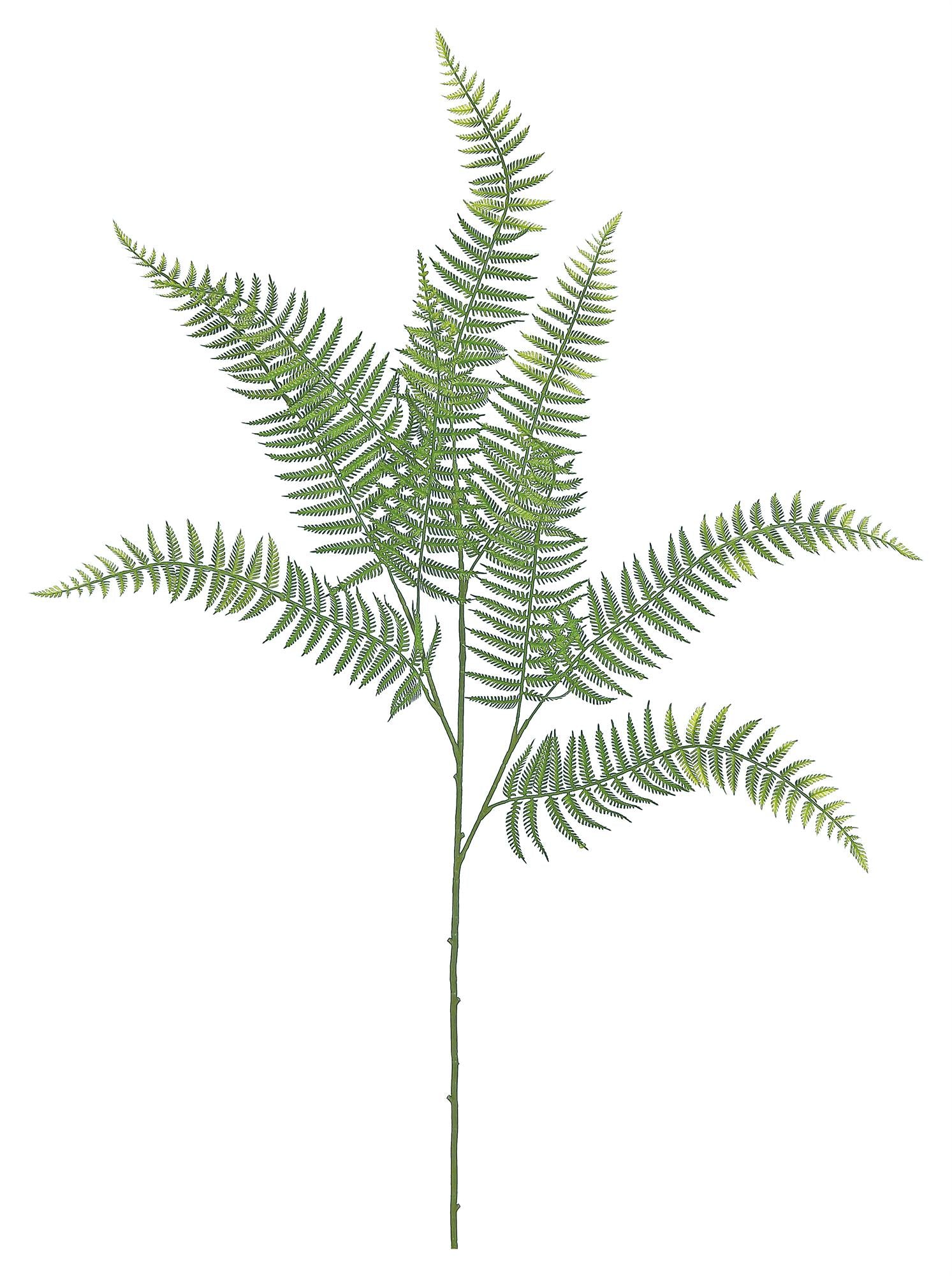 26" Fern Spray