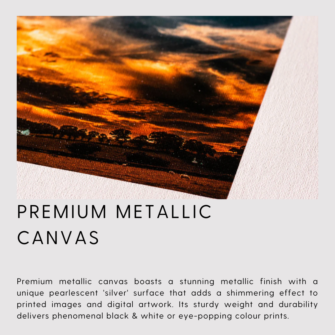Metallic Canvas Print