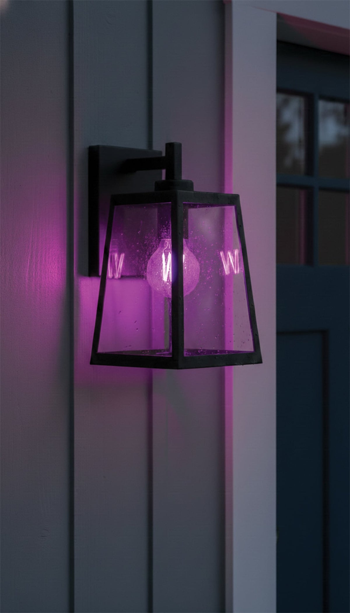 8W LED Purple Bulb