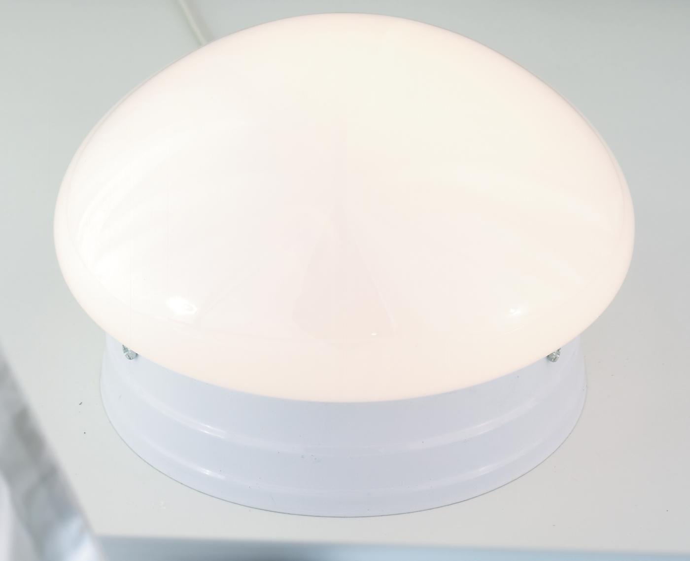 7.5" Frosted Mushroom Light