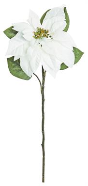 24" Nursery Poinsettia Spray W