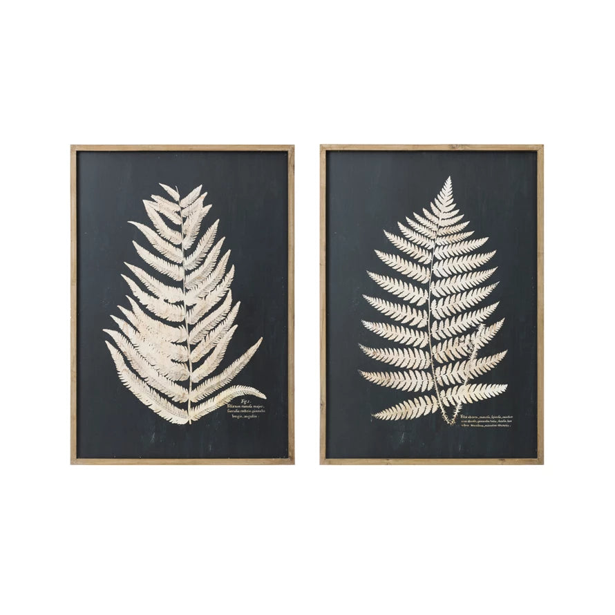 Framed Fern Leaf Wall Art
