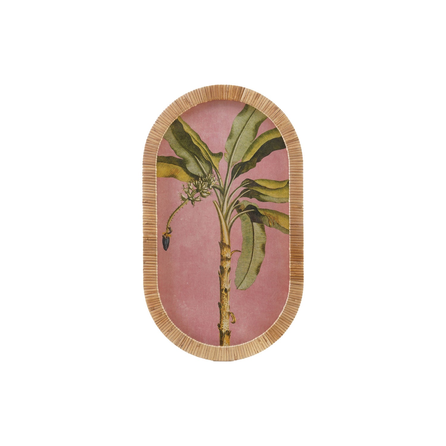 Palm Tree w/Rattan Wrap Frame