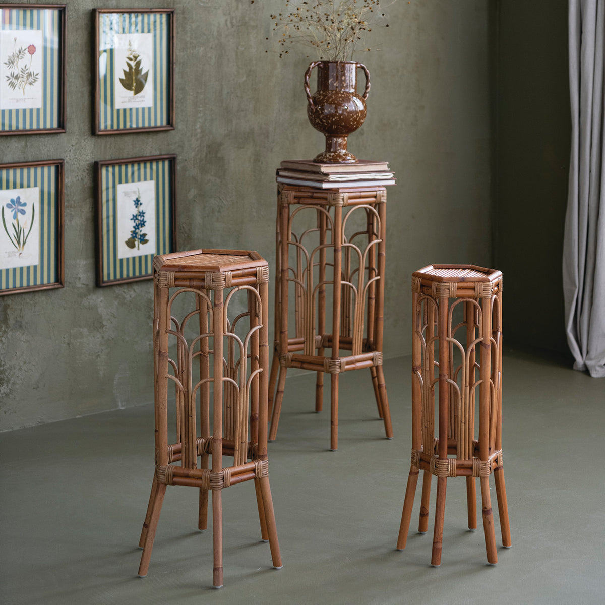 Rattan/Hexagon Plant Stand