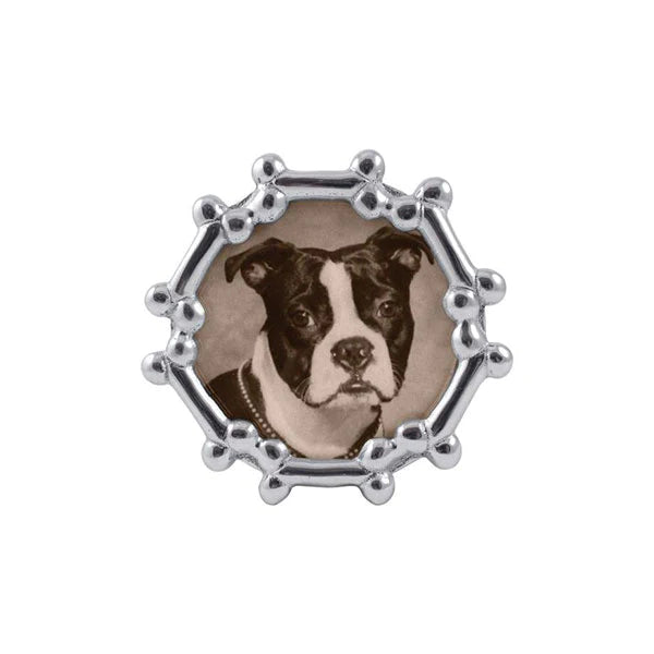 Dog Bone Frame