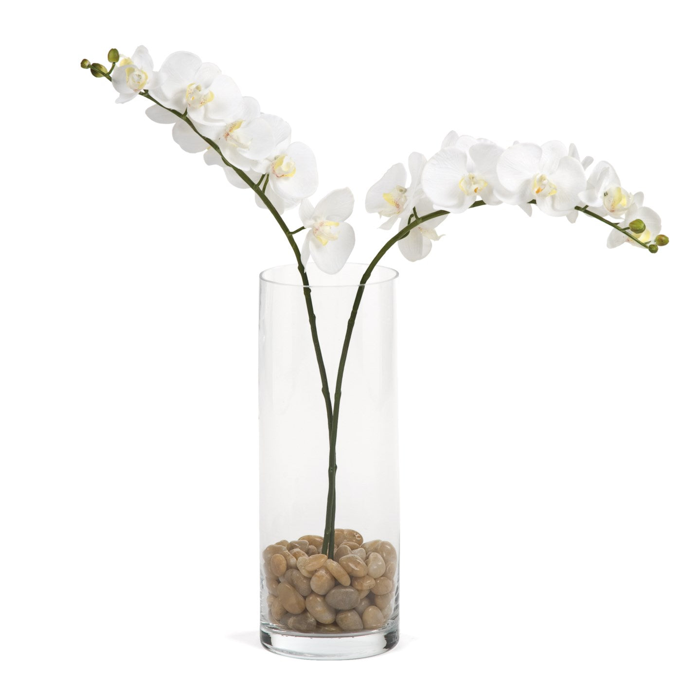 30" Single Stem Orchid - White