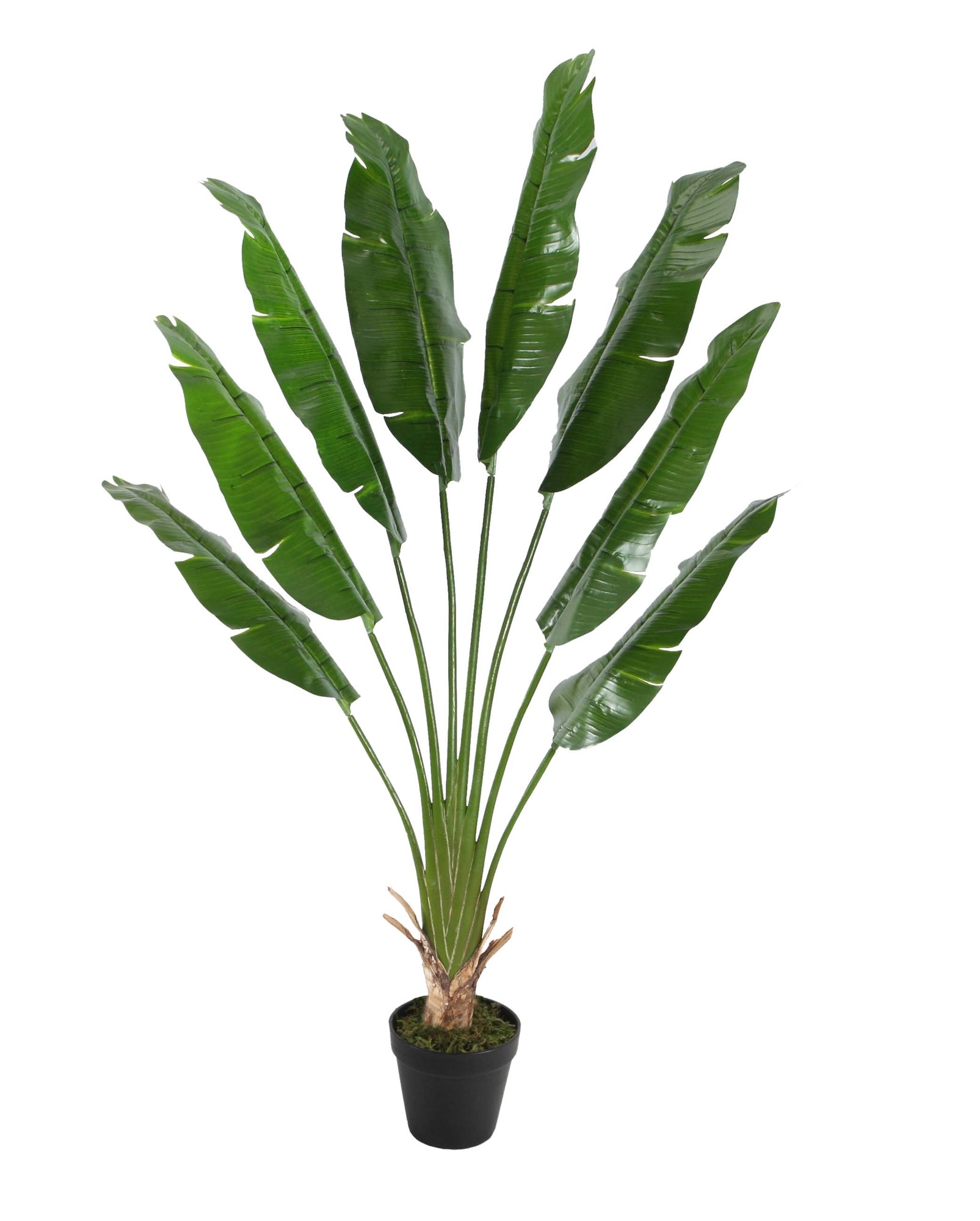 Faux Traveller's Tree w/ Pot