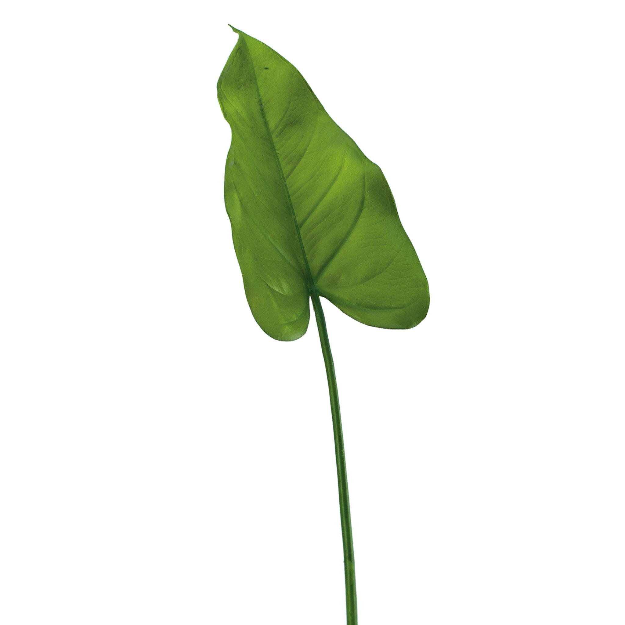 26" Calla Lily Leaf